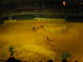 img3733_Zn.jpg