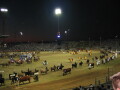 img3772_Zn.jpg