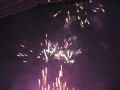img3831_Zn.jpg