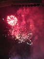 img3842_Zn.jpg