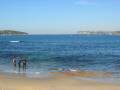 img4005_Zn.jpg