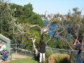 img4083_Zn.jpg