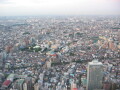 img4312_Zn.jpg