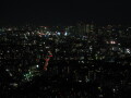 img4323_Zn.jpg