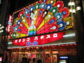img4336_Zn.jpg