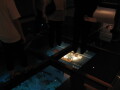 img4359_Zn.jpg
