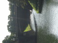 img4372_Zn.jpg