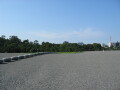img4376_Zn.jpg