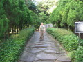 img4379_Zn.jpg
