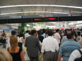 img4397_Zn.jpg