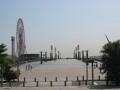 img4407_Zn.jpg
