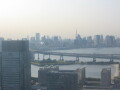 img4431_Zn.jpg