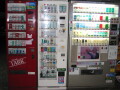 img4532_Zn.jpg