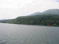 img6178_Zn.jpg