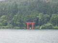 img6179_Zn.jpg