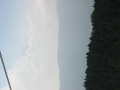 img6189_Zn.jpg