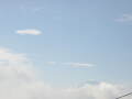 img6195_Zn.jpg