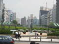 img6230_Zn.jpg
