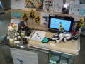 img6243_Zn.jpg