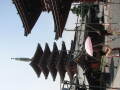 img6259_Zn.jpg