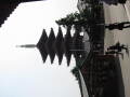 img6268_Zn.jpg