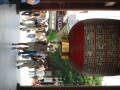 img6271_Zn.jpg
