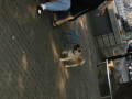 img6272_Zn.jpg