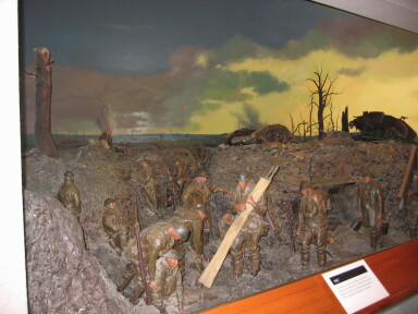 IMG3571_Zn.jpg