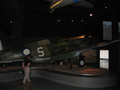 IMG3577_Zn.jpg
