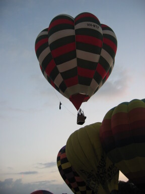 IMG3642_Zn.jpg
