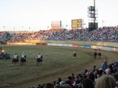 img3757_Zn.jpg