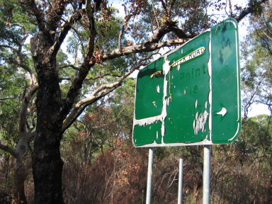 IMG3853_Zn.jpg