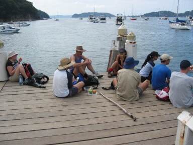 IMG3861_Zn.jpg