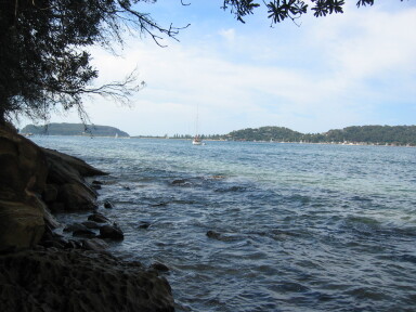 IMG3873_Zn.jpg