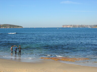 img4005_Zn.jpg