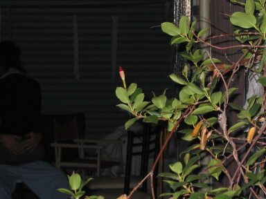 img4224_Zn.jpg
