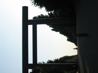img4384_Zn.jpg