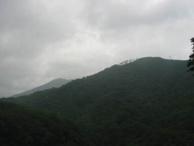 img6098_Zn.jpg