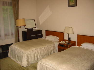 img6111_Zn.jpg