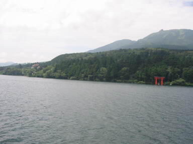 img6178_Zn.jpg