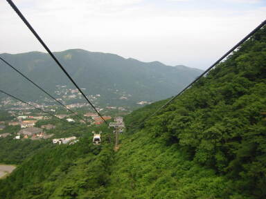 img6202_Zn.jpg