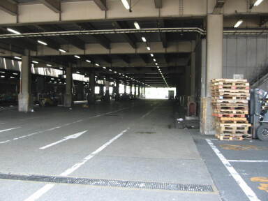 img6228_Zn.jpg