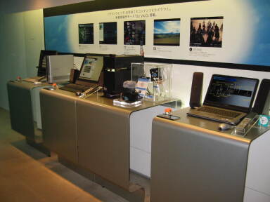 img6246_Zn.jpg