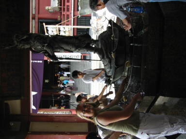 img6262_Zn.jpg