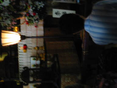 img6265_Zn.jpg