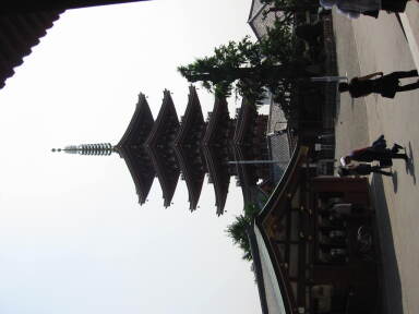 img6268_Zn.jpg