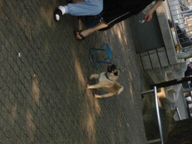 img6272_Zn.jpg