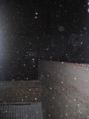 IMG7264_Zn.jpg