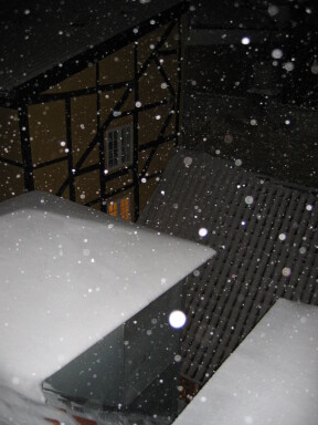 IMG7267_Zn.jpg