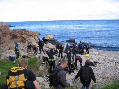IMG8238_Zn.jpg